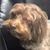 Les Donahue's profile image