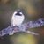 Victoria Blewer's profile image