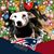 Tracey Meulendyk Roxby's profile image