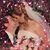 Marina Puchalski's profile image