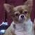 Sandi Rutledge's profile image