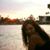 Susan Wilkins's profile image