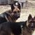 Judy Conder's profile image