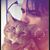 Mark Benitez's profile image