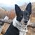 Myra Edwards's profile image