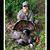 Michelle Lynne Tillery's profile image