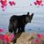 Pamela Steinbach's profile image