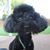 Beverly Cvercko's profile image