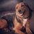 Nancy Duncan's profile image