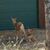 Jean L. Nutile's profile image
