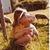 Peggy Teyssier's profile image