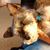 Terri Dole's profile image