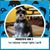 Milena Ribeiro's profile image