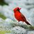 Debbie Bursby's profile image