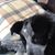 Nancy L. McPherson's profile image