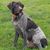 Ryan Thomas Currie's profile image