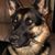 Caren Finch's profile image