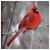 Suzy Mager's profile image