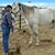 Kellie Jemison-spurlin's profile image