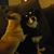 Lita Doody's profile image