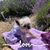 Brenda Coates's profile image