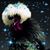 Heather Caudill's profile image