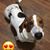Lyndsey Koller's profile image