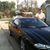 Lazaro Morales's profile image