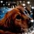 Donna Martin's profile image