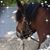 Lisa Rider Pardee's profile image