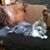 Mandy Robertson's profile image