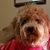 Teresa Worley Ginn's profile image