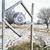 Sharon Pryor Fitzwater's profile image