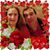 Beth Mazzarell Lombardo's profile image