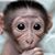 Melissa Blalock's profile image