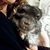 Shelagh McLafferty's profile image