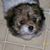 Bonnie Wilson's profile image