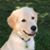 Lisa Keez Williams's profile image