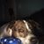 Robyn Crowle's profile image