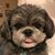 Christina Chu Johnson's profile image
