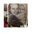 Maria Bronny Ciesla's profile image