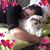 Chris Bertucio's profile image