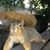 David Oertel's profile image