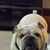 Robert L Baron's profile image
