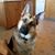 Holly Rorabaugh's profile image