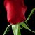 Corrina Hendon's profile image