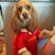 Christine Quade's profile image