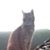 Valerie Pete Schwalm's profile image