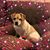 Lisa McClain Wagner's profile image