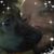 Tim Kierstead's profile image